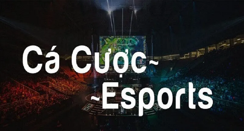 Khái quát về cá cược esport